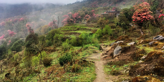 a picture of the great himalaya trail